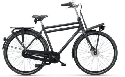 Batavus PACKD Plus 7