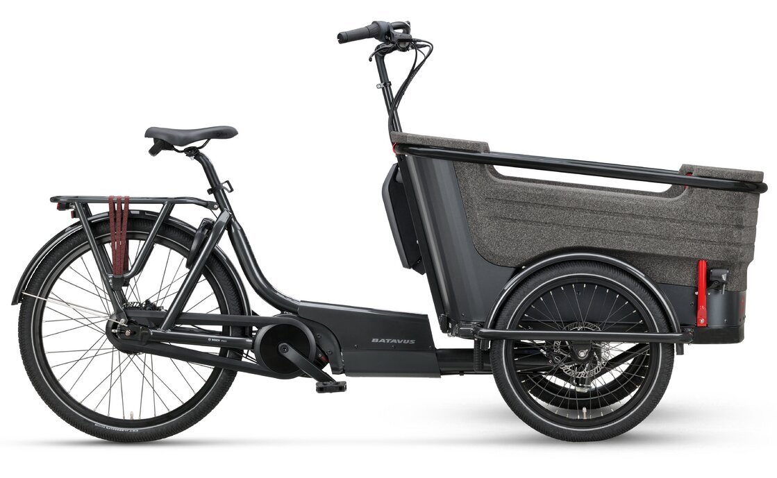 Batavus Fier-3 Batavus Fier-3