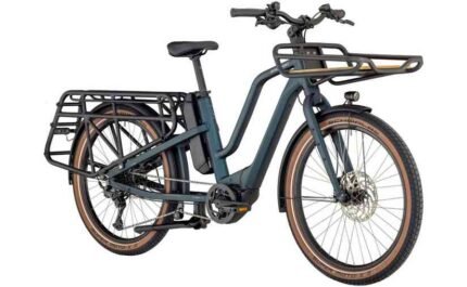 Bergamont E-Cargoville