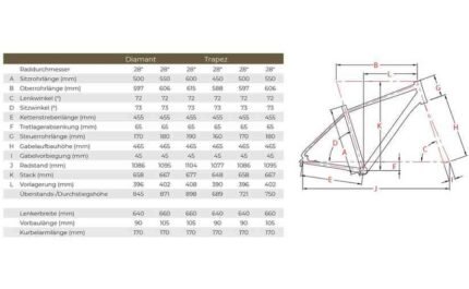 Raleigh Rushhour 1.0