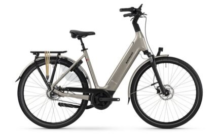 Batavus Finez E-go Power