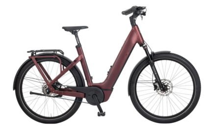 E-Bike Manufaktur 5NF