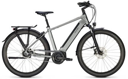 Raleigh Bristol XXL