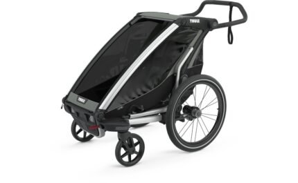 Thule Chariot Lite single