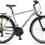 Winora Domingo 21 - 28 Zoll - Diamant - 2024