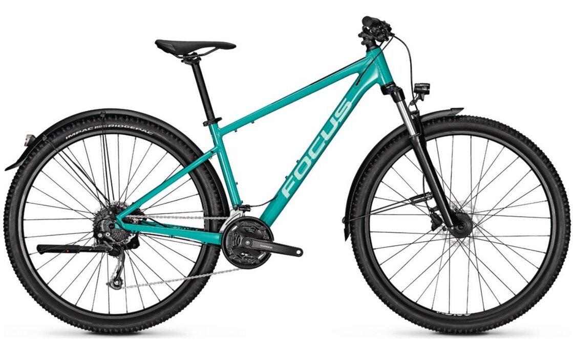 1038245 12150852.jpg