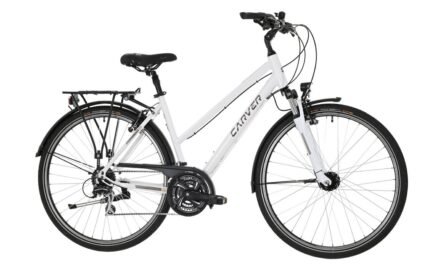 1105907 11852759.jpg