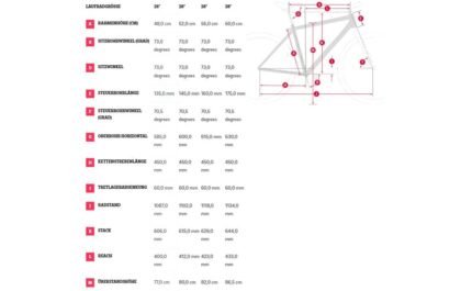 1539854 12007332.jpg