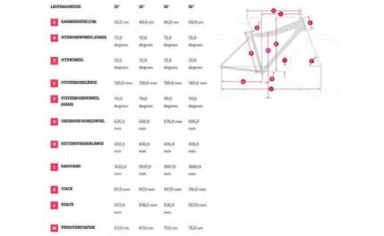 1540070 13786260.jpg