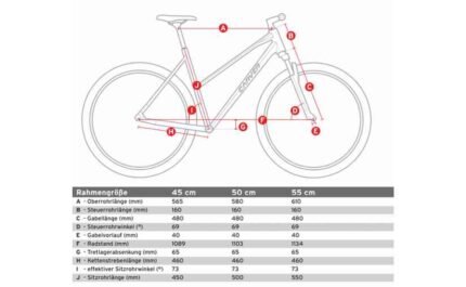 1956404 13694642.jpg