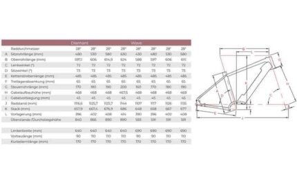 2016558 13947480.jpg