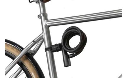 2042243 13943757.jpg