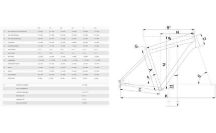 2580828 14199872.jpg