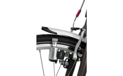 2883945 15152334.jpg