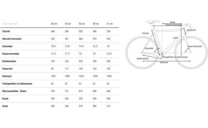 2900978 15120950.jpg