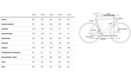 2901056 15339848.jpg