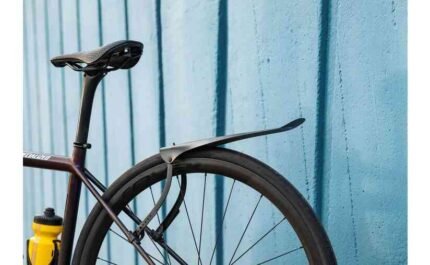 2916741 14971143.jpg