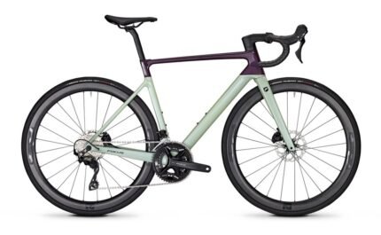 2936049 15160478.jpg