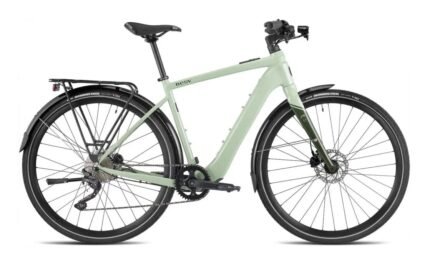 2952851 15329193.jpg