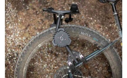 2980586 18126448.jpg