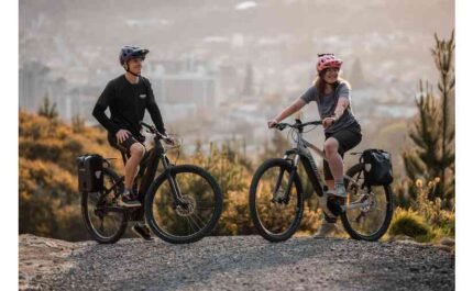 2980616 18129508.jpg