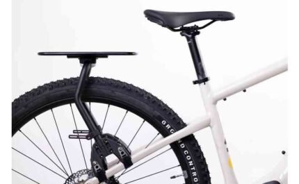 2980997 18127987.jpg