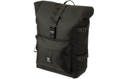 3403979 16316270.jpg