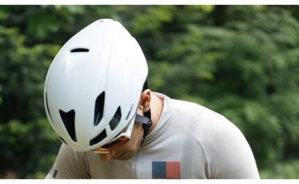 3436247 16366250.jpg