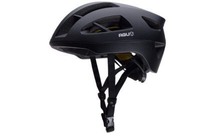 3436685 16369520.jpg