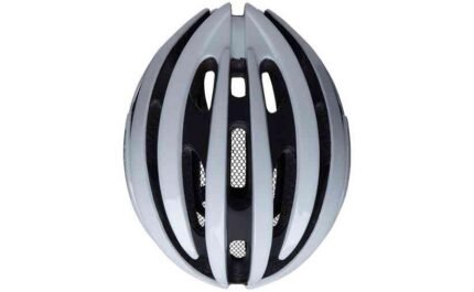 3436949 16375967.jpg