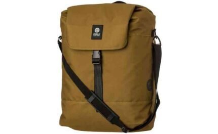 3510542 16651730.jpg