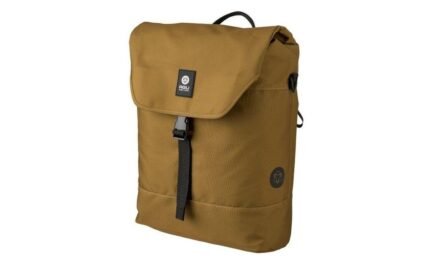 3510545 16649732.jpg