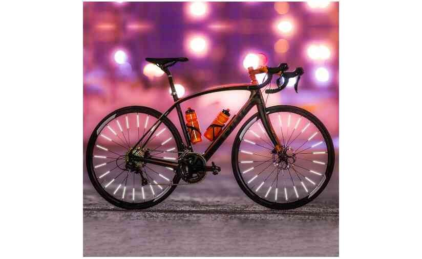 3560175 16770798.jpg