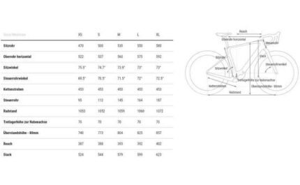 3978979 17588128.jpg