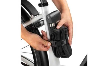 4035208 18119197.jpg