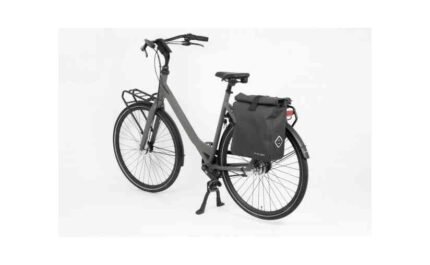 4170475 18107518.jpg