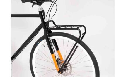 4170493 19005871.jpg