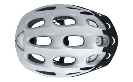 4280905 18378460.jpg