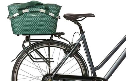 4284865 18407191.jpg