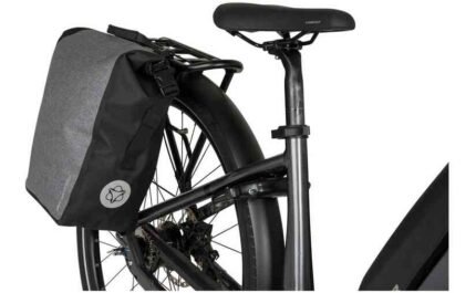 4366201 18688456.jpg