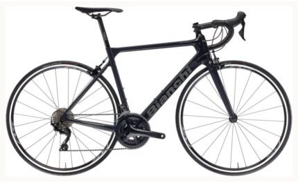 4539604 19338946.jpg