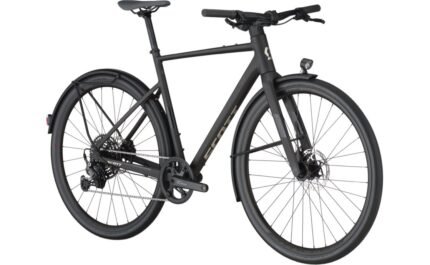 4719517 19342129.jpg