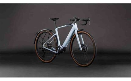 4951216 20085274.jpg