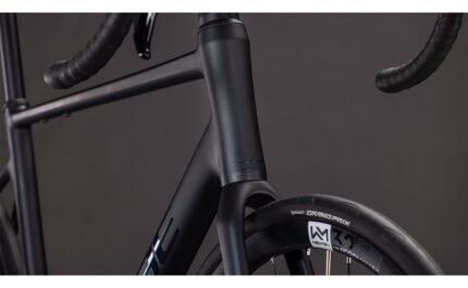 4991593 19705879.jpg