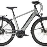 Raleigh Bristol XXL - 625 Wh - 28 Zoll - Diamant - Aktion