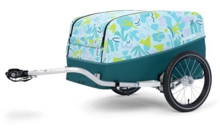 Croozer Cargo Tuure.01.jpg