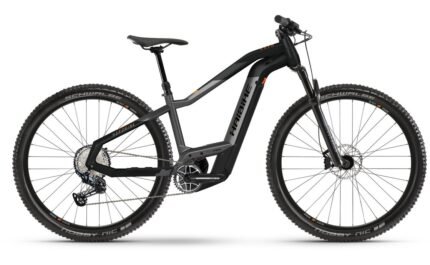 Haibike HardNine 10 625 Wh 29 Zoll Diamant.01.jpg