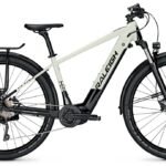 Raleigh Dundee 10 - 500 Wh - 29 Zoll - Diamant - Aktion