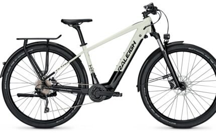 Raleigh Dundee 10 500 Wh 29 Zoll Diamant Aktion.jpg