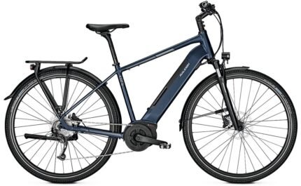 Raleigh Kent 9 500 Wh 28 Zoll Diamant Aktion.jpg